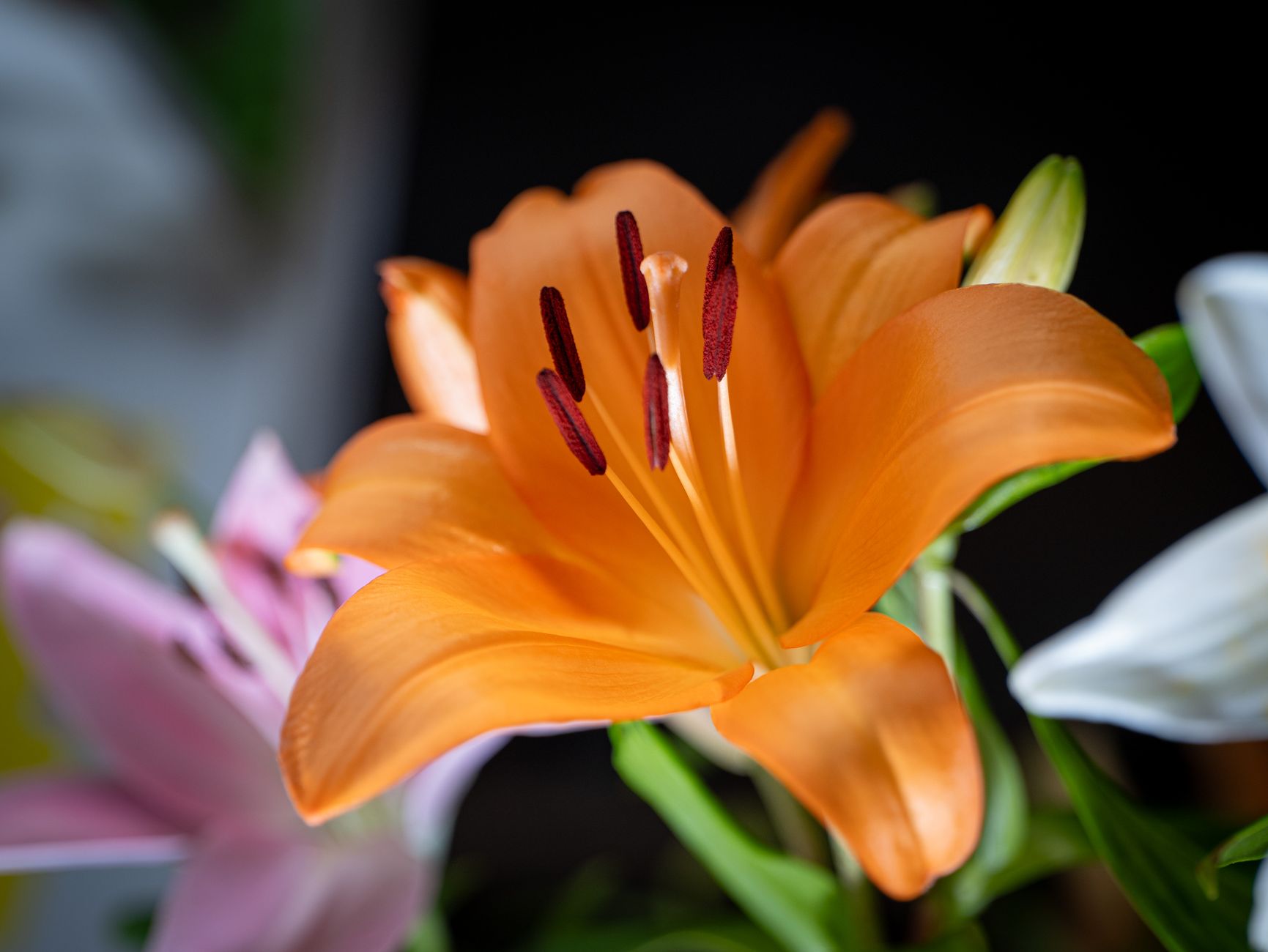 Livraison fleurs à Colombes